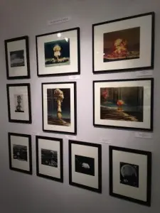 Art Elysées avec Benoît Dauvergne