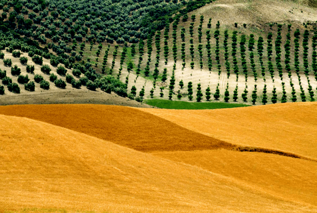 FRANCO FONTANA© KUWAIT 1979