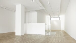 Bailly Gallery