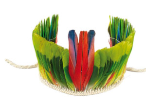 AU PAYS DES HOMMES-PLUMES