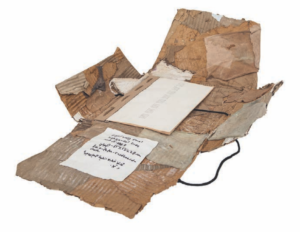 INTELLIGENCE NATURELLE