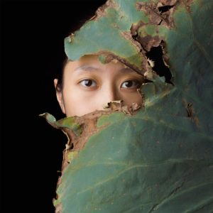 PHILIPPE BARDE Pierres volées / Stolen stones