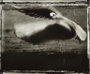 Sarah Moon- Arracher la photographie à l’éphémère