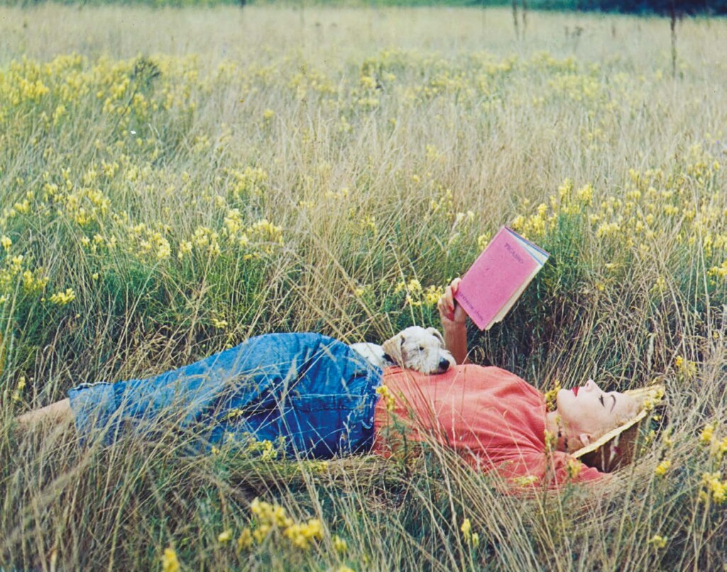 Irving Penn, Lisa Fonssagrives-Penn lying in a field of grass, reading Gertrude Stein’s