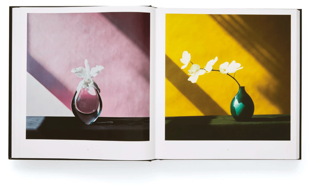 Flora les fleurs de Mapplethorpe Mark Holborn 1