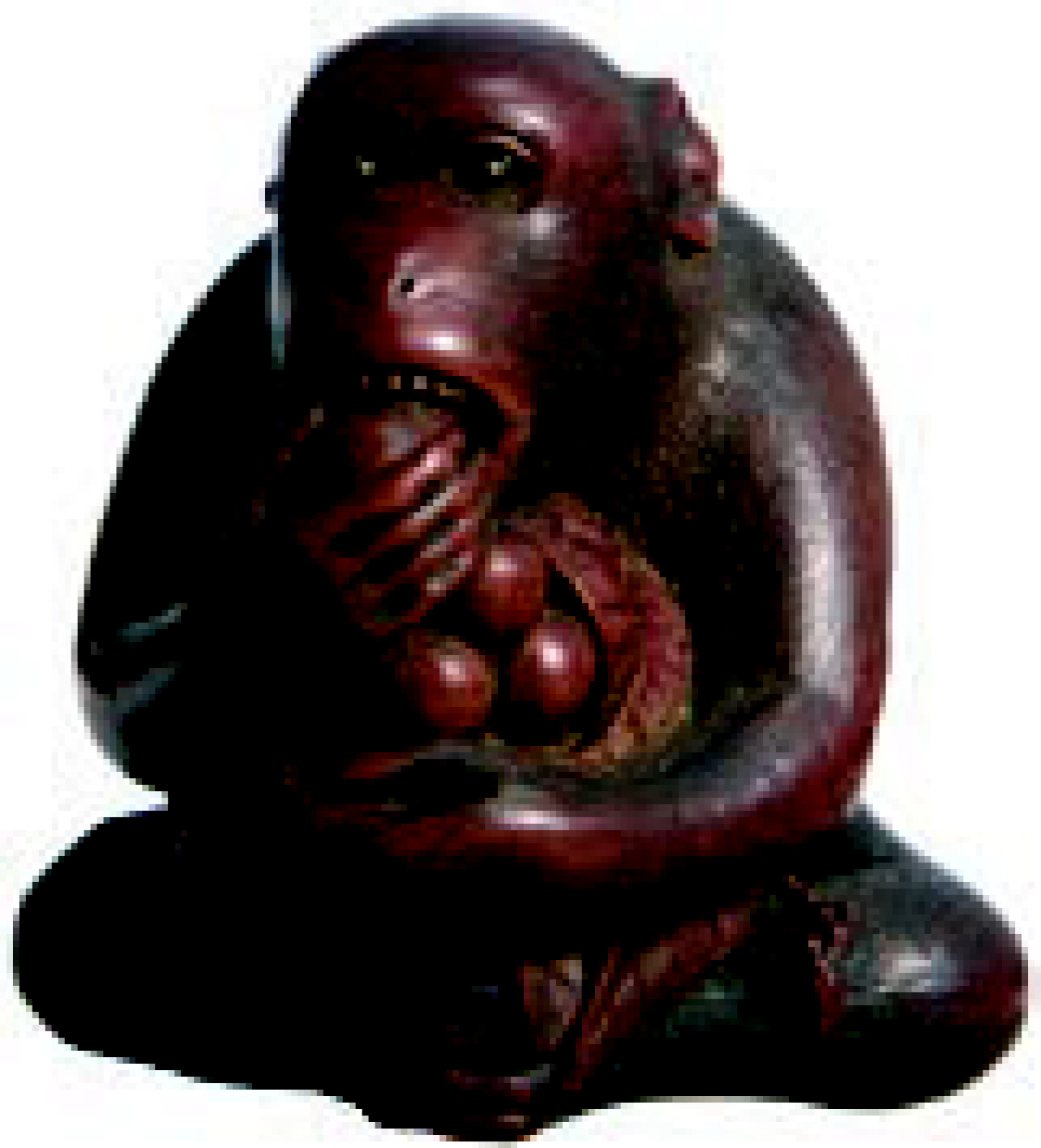Les netsuke