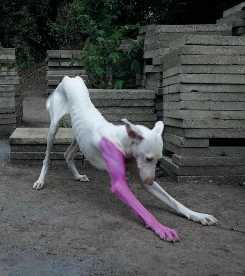 Pierre Huyghe – Fondation Beyeler 2026