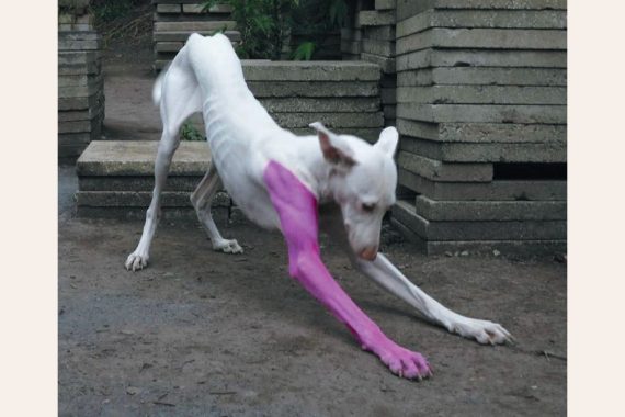 1779711940750