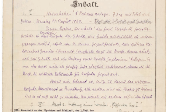 Chemise de conservation 
de manuscrits de Nietzsche, copieusement annotée par Stefan Zweig, Fondation Martin Bodmer, Aut. N-11
© Fondation Martin Bodmer / numérisation Bodmer Lab, UNIGE
