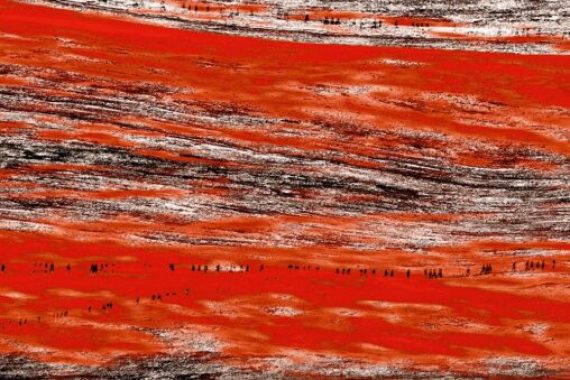 In Artpassions Web