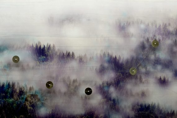 ALEXANDRE JOLY 
L’apparition du renard, 2017
Photo sur bois, piezos et son
120 x 85 x 6 cm