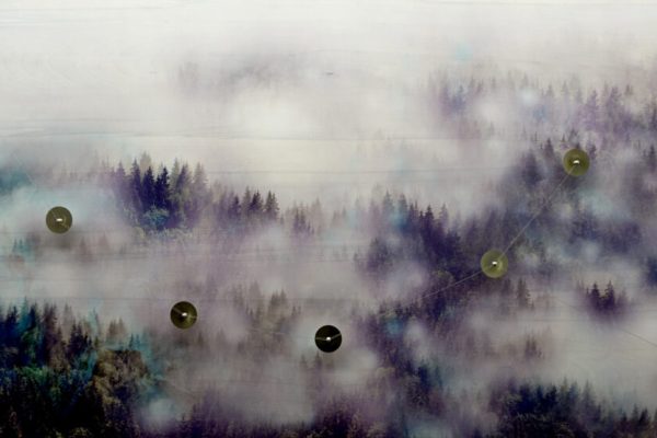 ALEXANDRE JOLY 
L’apparition du renard, 2017
Photo sur bois, piezos et son
120 x 85 x 6 cm
