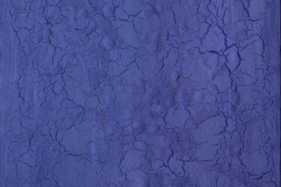 Philippe PASTOR 2014
14 094 BM
technique mixte et pigments sur toile
152x102cm
