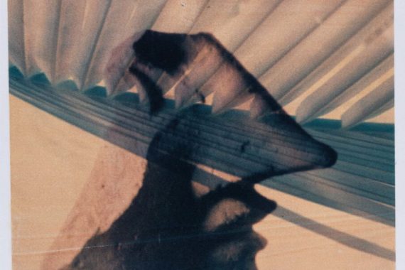 Sans titre [série végétale], non daté
Transfert Polaroid sur papier
Fabriano, 500 x 355 mm
Cabinet cantonal des estampes
Collection de la Ville de Vevey
Musée Jenisch Vevey
© Photo Julien Gremaud